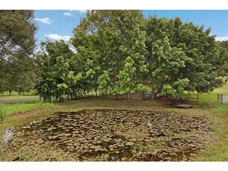 677 Hogans Road, Tumbulgum NSW 2490