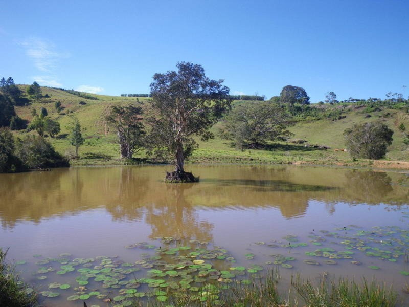 6 Donalyn Court, Duranbah NSW 2487