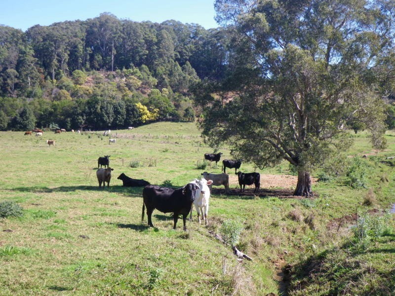 6 Donalyn Court, Duranbah NSW 2487