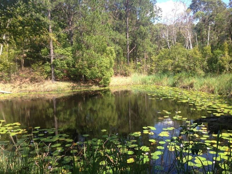 224 Cudgen Road, Duranbah NSW 2487