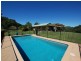 502  Numinbah Road, Nobbys Creek NSW 2484