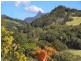 502  Numinbah Road, Nobbys Creek NSW 2484
