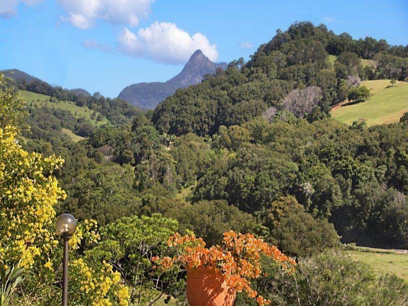 502  Numinbah Road, Nobbys Creek NSW 2484
