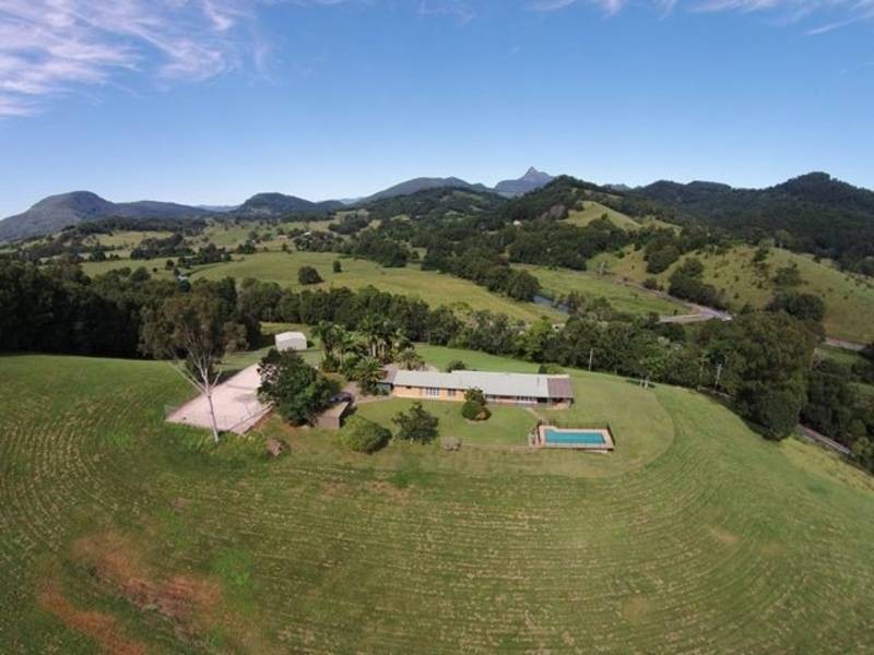 502  Numinbah Road, Nobbys Creek NSW 2484