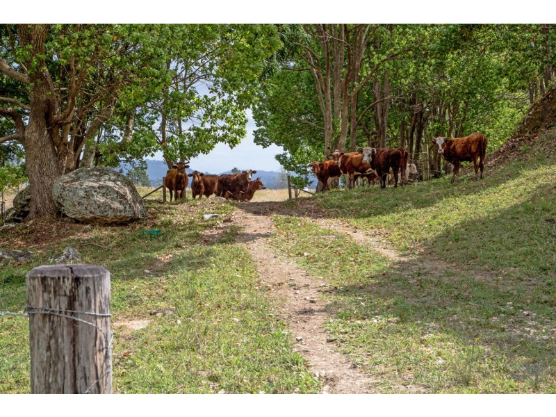 166 Duranbah Road, Duranbah NSW 2487