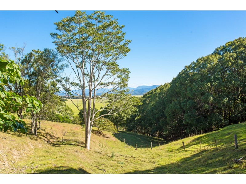 166 Duranbah Road, Duranbah NSW 2487