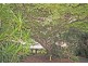180 Tweed Coast Road, Cudgen NSW 2487