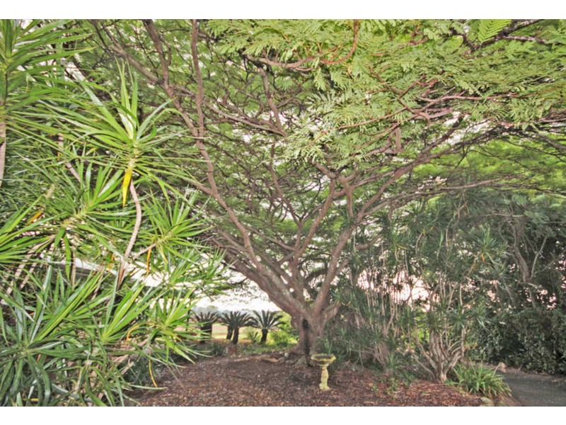 180 Tweed Coast Road, Cudgen NSW 2487