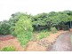 180 Tweed Coast Road, Cudgen NSW 2487