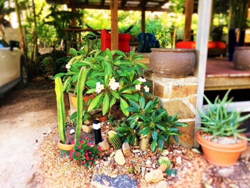 158  Hawkens Lane, Eviron NSW 2484