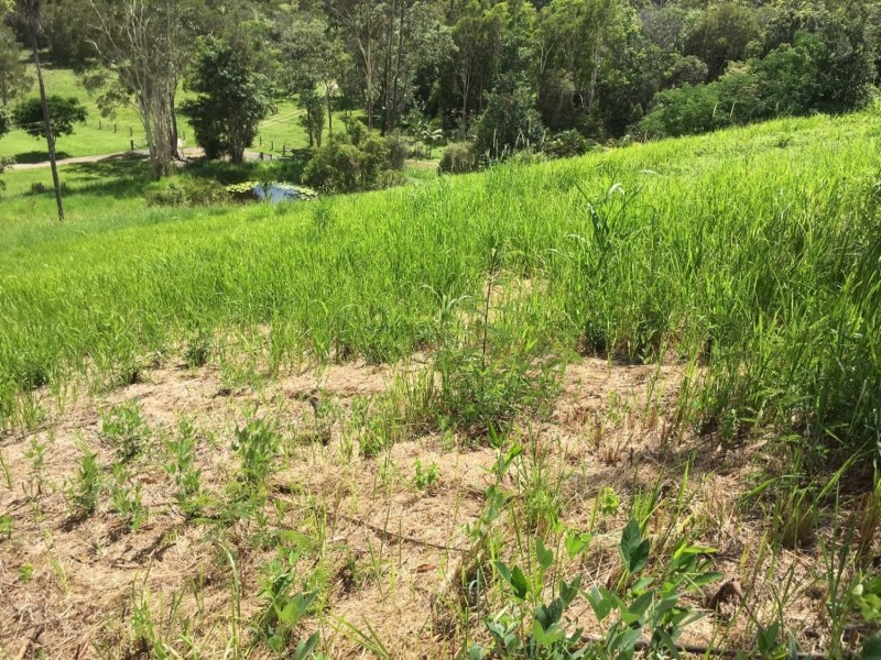 77 Loders Road, Duranbah NSW 2487