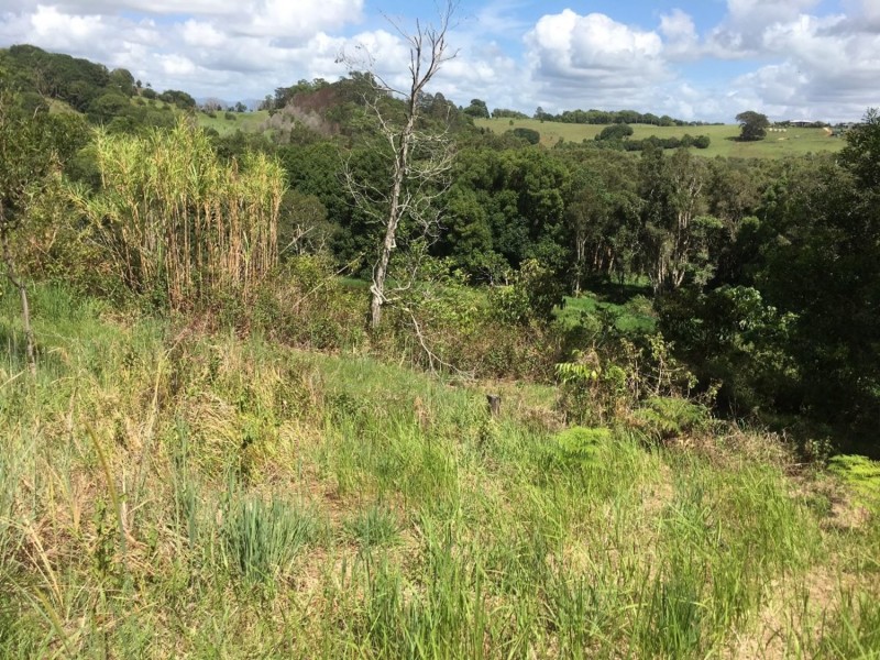 77 Loders Road, Duranbah NSW 2487