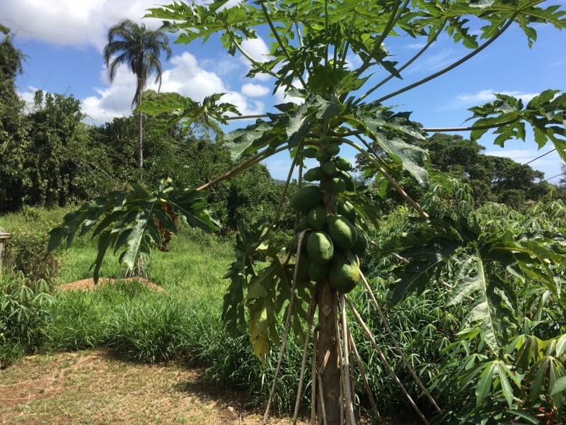 77 Loders Road, Duranbah NSW 2487