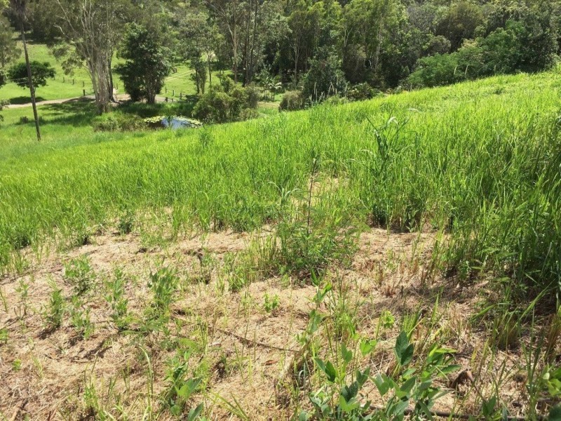 77 Loders Road, Duranbah NSW 2487