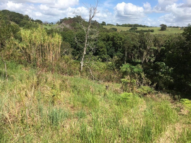 77 Loders Road, Duranbah NSW 2487