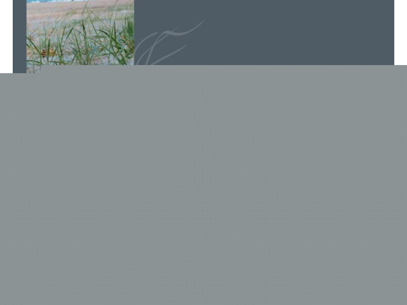 230 Marine Parade, Kingscliff NSW 2487