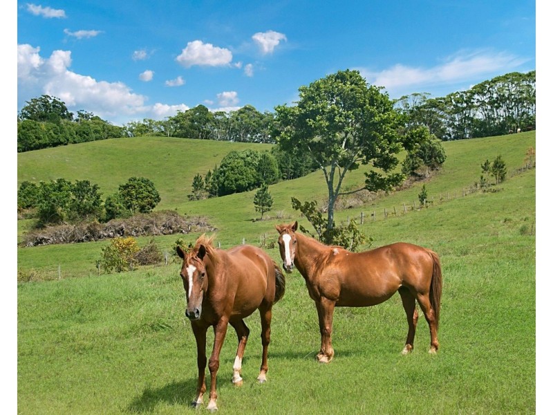 63 Duranbah Road, Duranbah NSW 2487