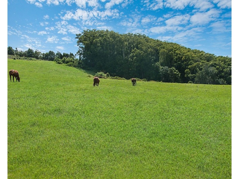 63 Duranbah Road, Duranbah NSW 2487