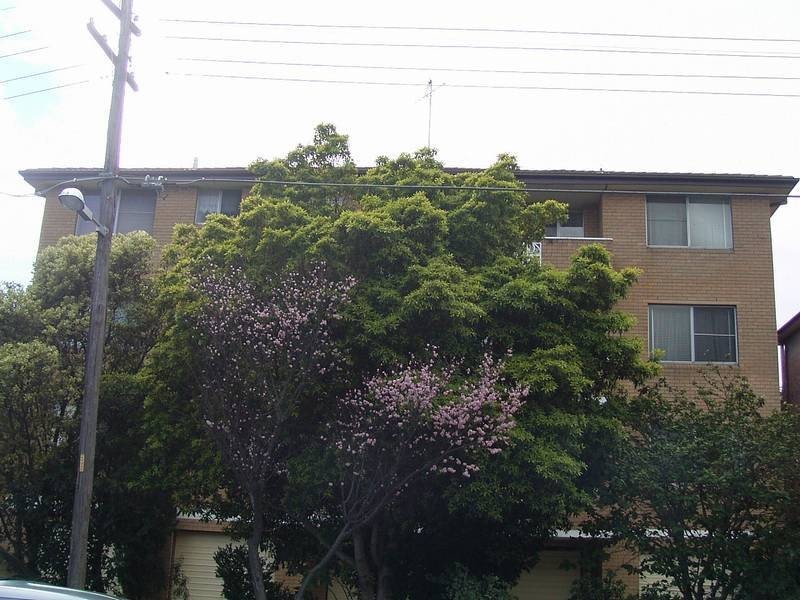 High Street, Carlton NSW 2218