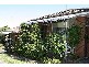 3/120 Wolseley Street, Bexley NSW 2207