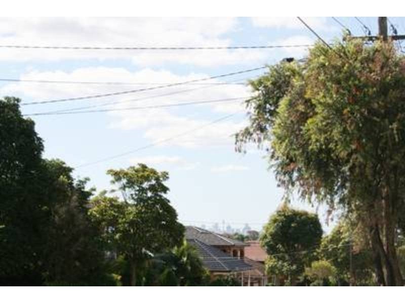 124 Willison Road, Carlton NSW 2218