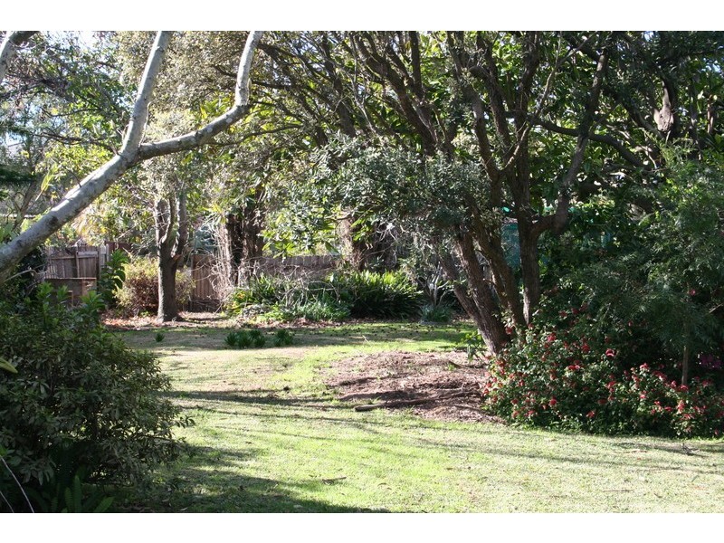 22 Mimosa Street, Bexley NSW 2207