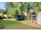 Bexley NSW 2207