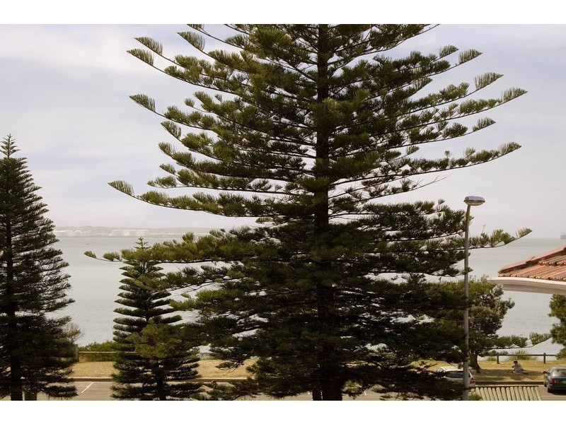 11/154 The Grand Parade, Monterey NSW 2217