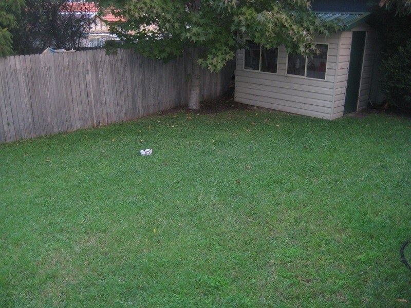 46 Prince Edward Street, Carlton NSW 2218