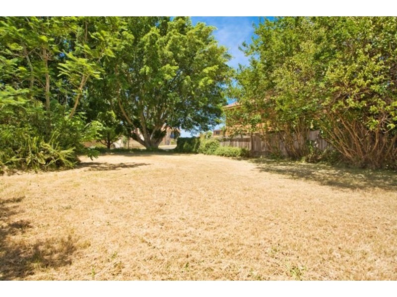 54 Dunmore Street, Bexley NSW 2207