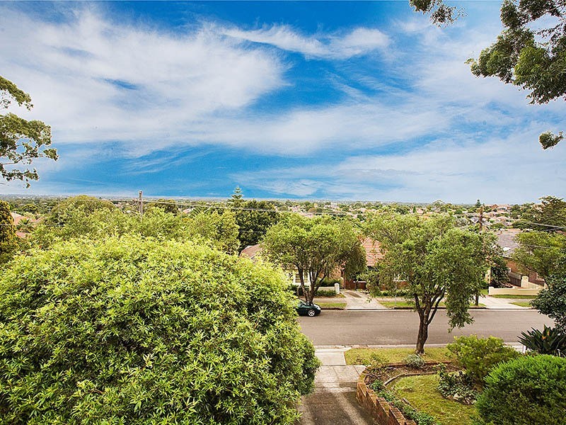 20 Pacific Avenue, Penshurst NSW 2222