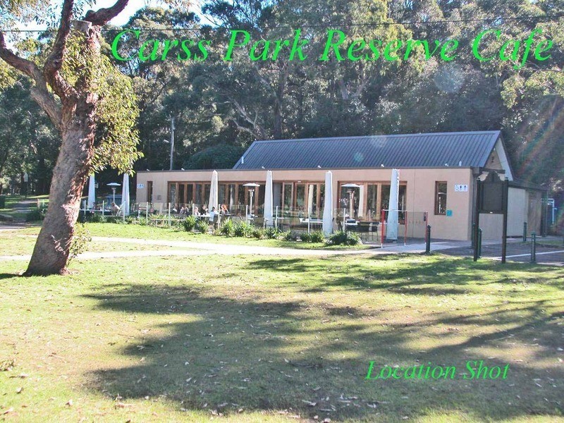 4 Tottenham Place, Blakehurst NSW 2221