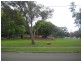 Carlton NSW 2218