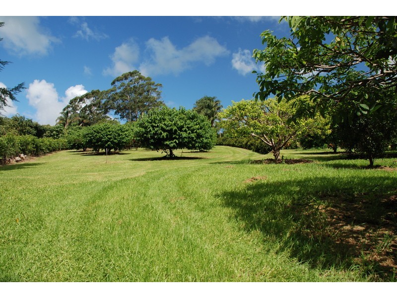 159 Broken Head Road, Newrybar NSW 2479