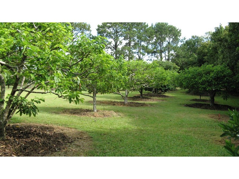 159 Broken Head Road, Newrybar NSW 2479