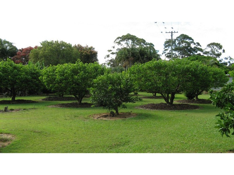 159 Broken Head Road, Newrybar NSW 2479