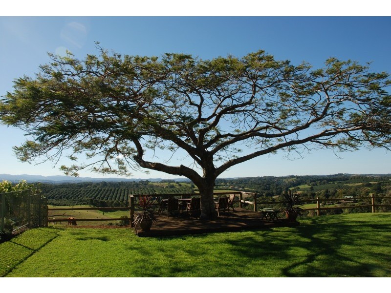 175 Rifle Range Road, Wollongbar NSW 2477