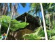 896 Teven Road, Teven NSW 2478