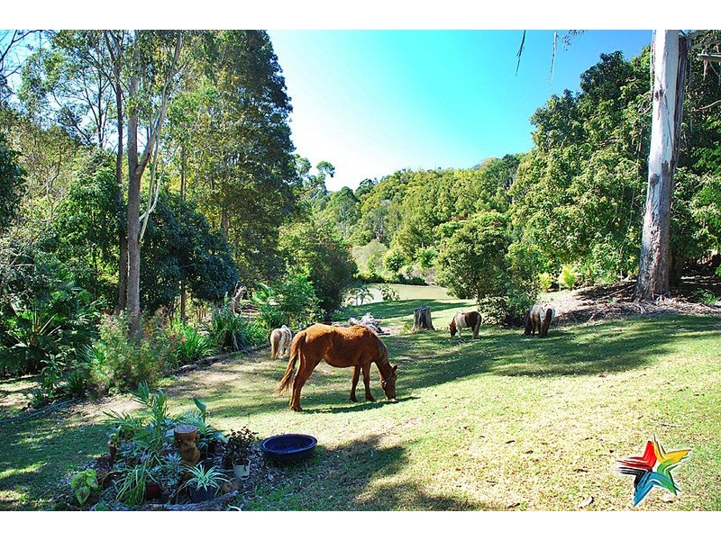 896 Teven Road, Teven NSW 2478