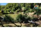 896 Teven Road, Teven NSW 2478
