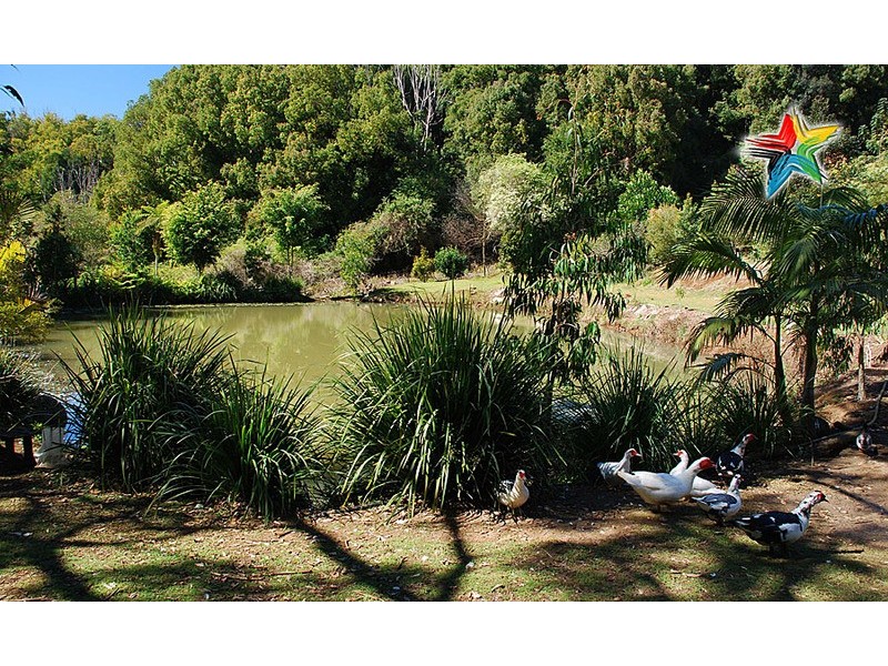 896 Teven Road, Teven NSW 2478