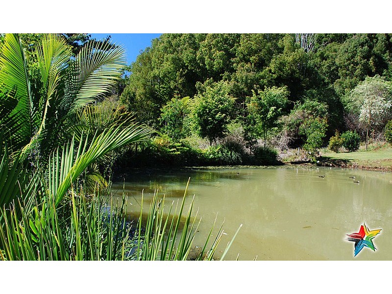896 Teven Road, Teven NSW 2478
