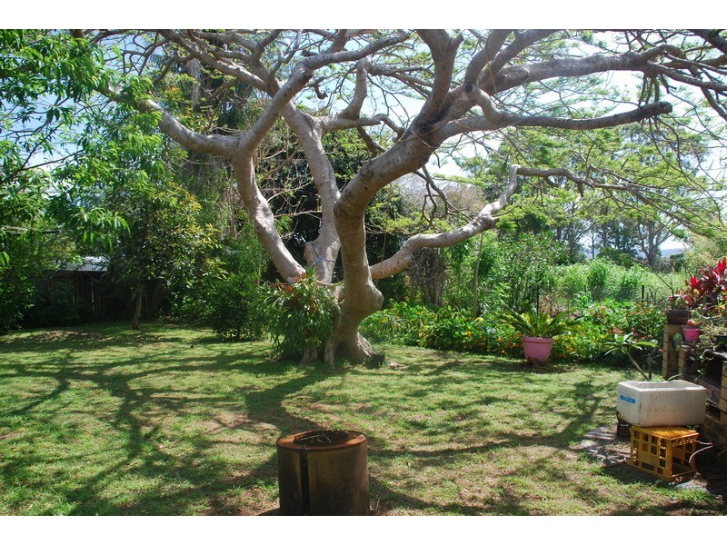 78 North Creek Road, Lennox Head NSW 2478