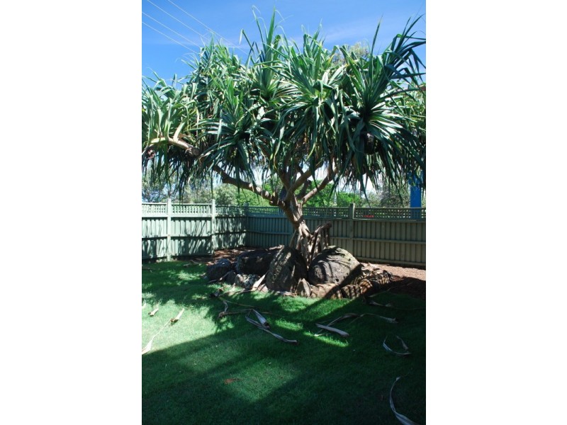 56 Pacific Parade, Lennox Head NSW 2478