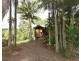 955 Terania Creek Road, Terania Creek NSW 2480