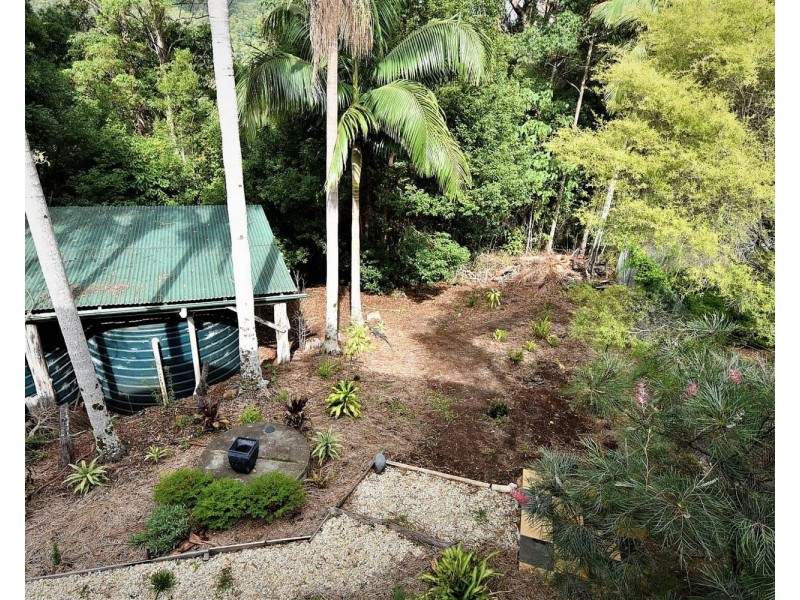 955 Terania Creek Road, Terania Creek NSW 2480