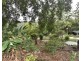 955 Terania Creek Road, Terania Creek NSW 2480