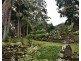 955 Terania Creek Road, Terania Creek NSW 2480