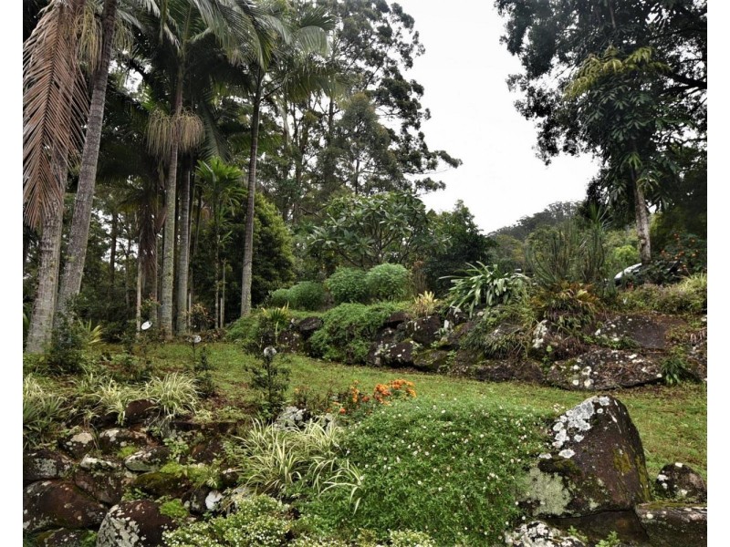 955 Terania Creek Road, Terania Creek NSW 2480