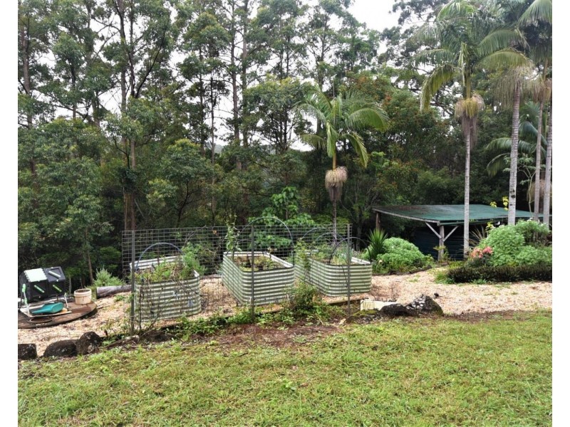 955 Terania Creek Road, Terania Creek NSW 2480